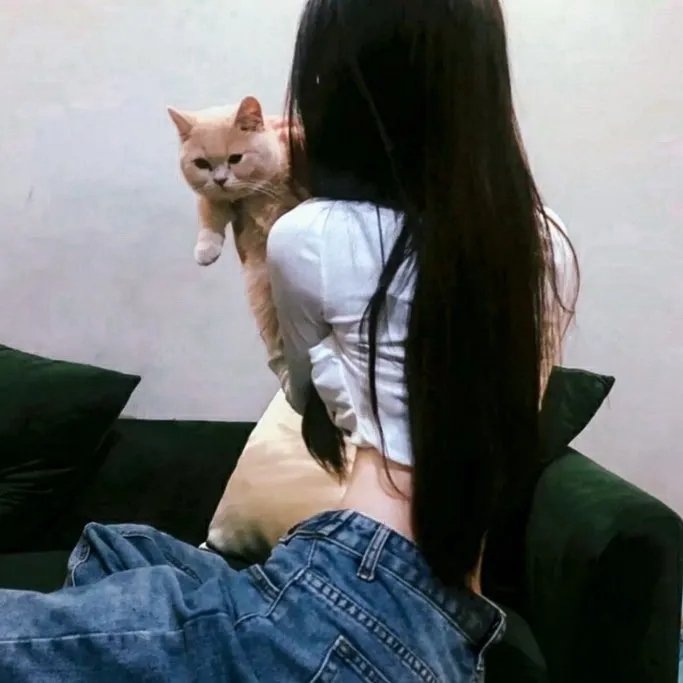 父子神探之龙抬头