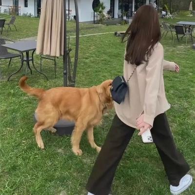 贵女驯夫记